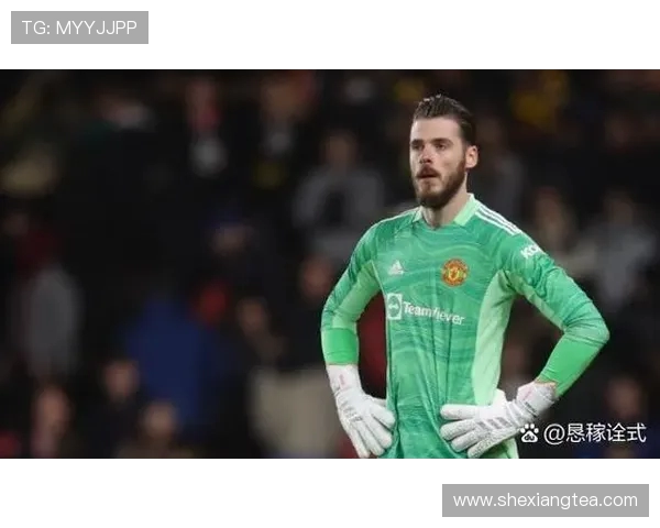 药厂锁定进攻利刃！希克续约至 2030 年，滕哈赫体系核心非他莫属